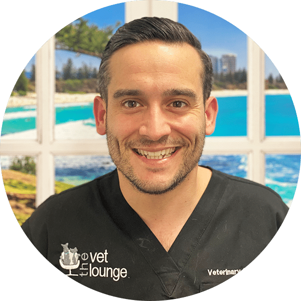 Dr Andress Townsend - Veterinarian The Vet Lounge Currumbin