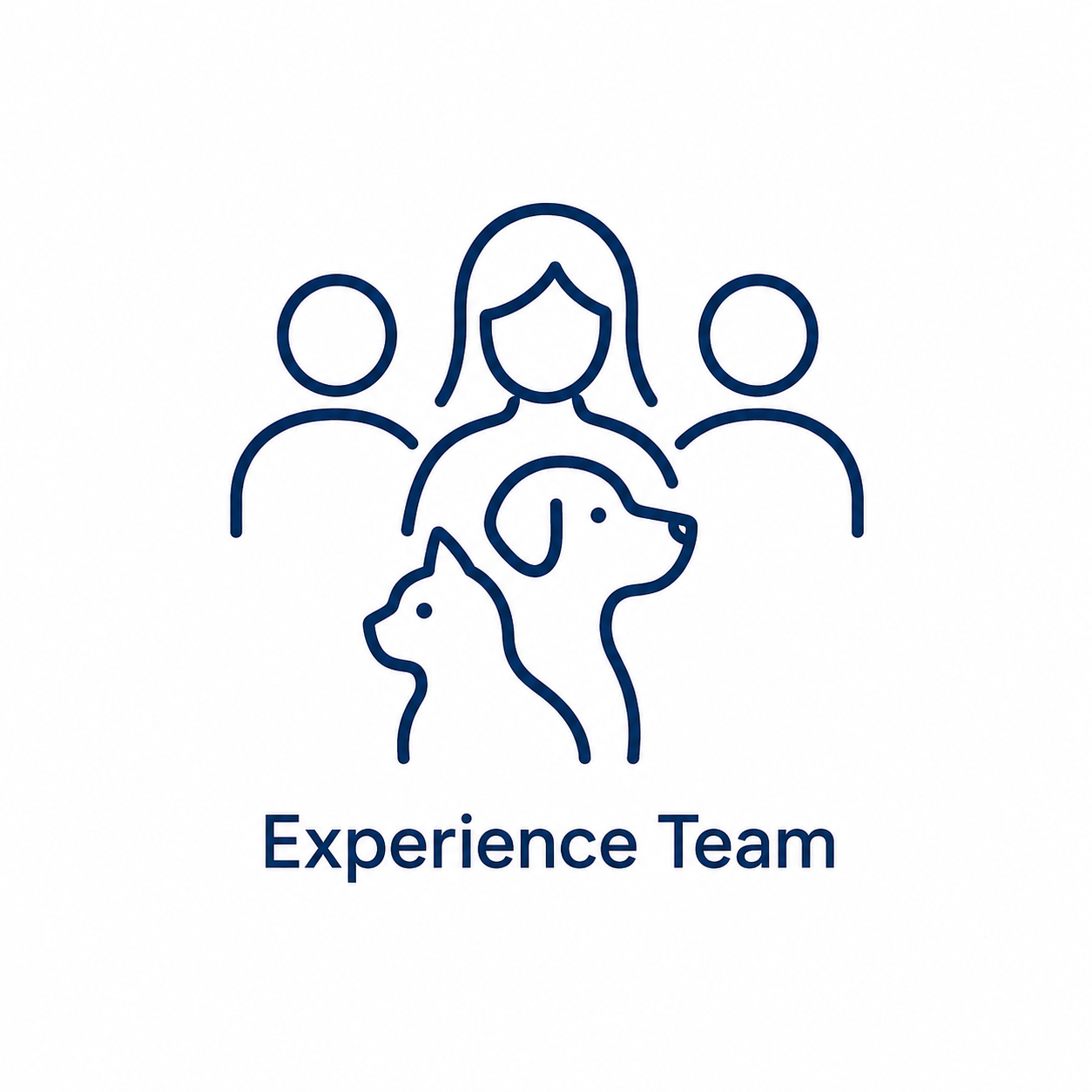 Experienced team