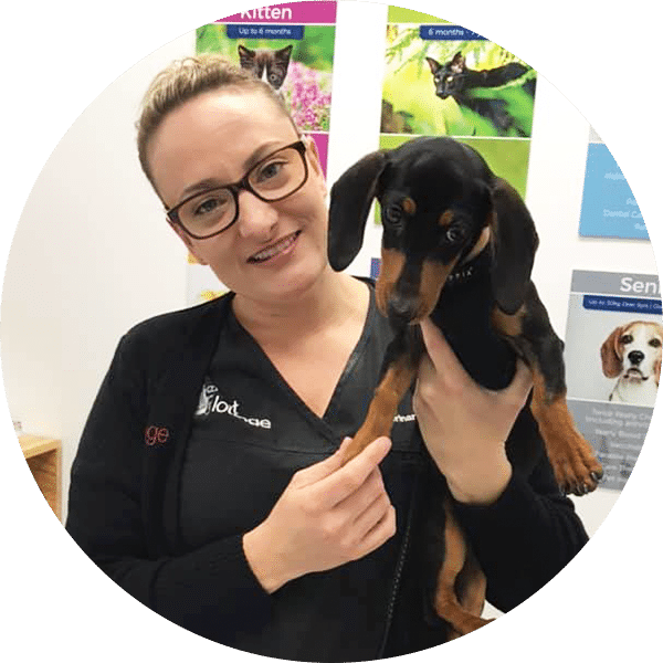 Dr Nicole McGuinness - Principal Veterinarian The Vet Lounge Currumbin