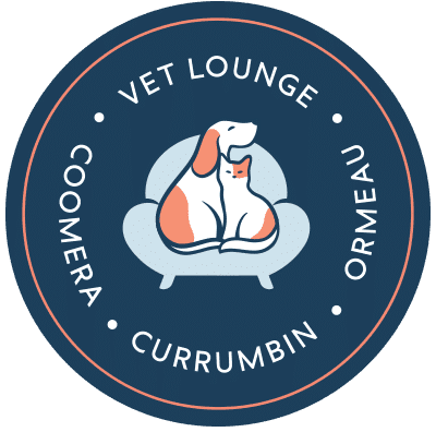 Vet Currumbin